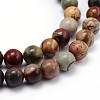 Natural Polychrome Jasper/Picasso Stone/Picasso Jasper Round Bead Strands G-J303-16-6mm-3