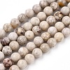 Natural Maifanite/Maifan Stone Beads Strands G-F353-4mm-5