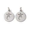 Non-Tarnish 304 Stainless Steel Charms STAS-Q201-T450P-1