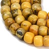 Dyed Natural White Jade Beads Strands GG-CBAA20A-01B-04-4