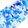Glass Beads Strands GLAA-F106-B-14-1