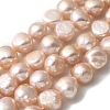 Natural Cultured Freshwater Pearl Beads Strands PEAR-A006-10F-2
