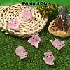36Pcs 6 Styles Luminous Translucent Resin Pendants RESI-SZ0003-30-2