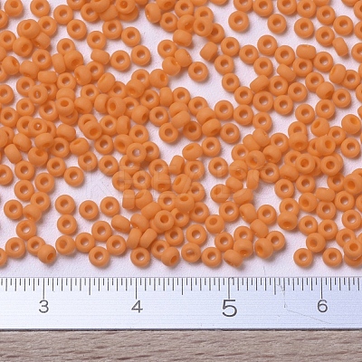MIYUKI Round Rocailles Beads X-SEED-G007-RR0405F-1