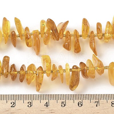 Natural Amber Beads Strands G-L095-D01-03-1