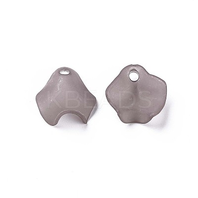 Transparent Acrylic Beads X-MACR-S373-106-D02-1