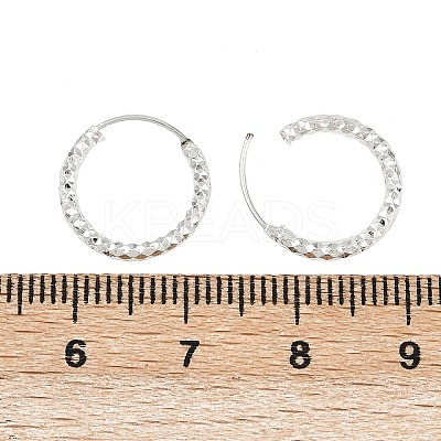 Brass Textured Hoop Earrings EJEW-F378-03B-S-1