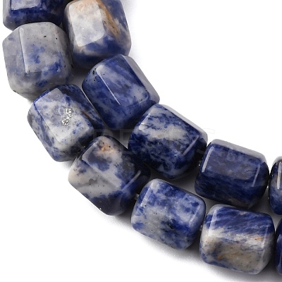 Natural Sodalite Beads Strands G-R015-A03-1