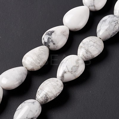 Natural Howlite Beads Strands G-L242-13-1