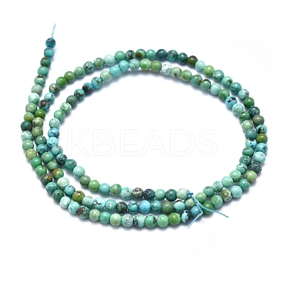 Natural Turquoise Beads Strands G-K305-01-A-1