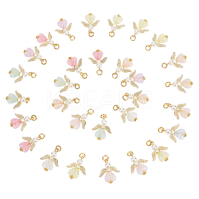 30Pcs Transparent Acrylic Pendants FIND-PH0008-05-WH-1
