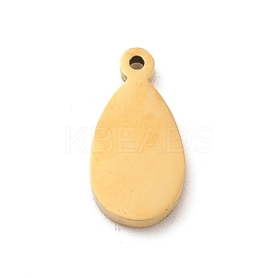 304 Stainless Steel Enamel Charms STAS-A078-05G-1