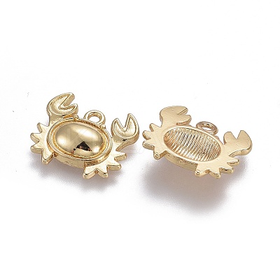 Alloy Pendants TIBEP-A040-040G-NR-1
