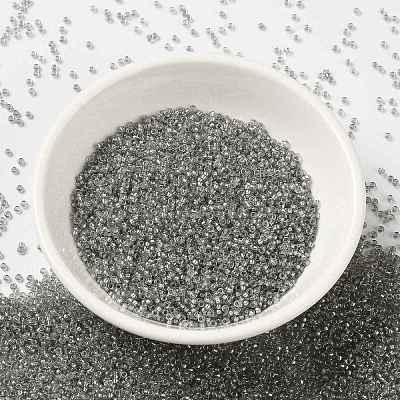 MIYUKI Round Rocailles Beads X-SEED-G009-RR2266-1