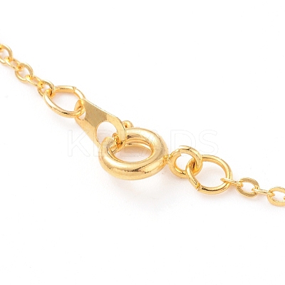Pendant Necklaces NJEW-JN02598-01-1
