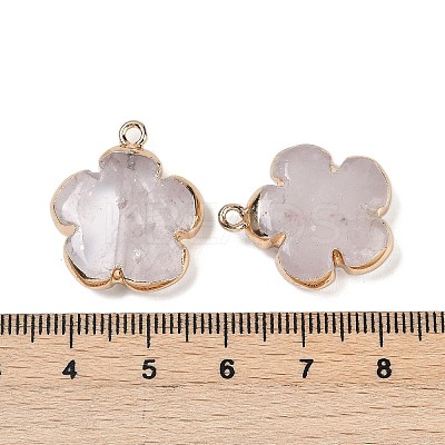 Natural Quartz Crystal Pendants G-P566-01G-06-1