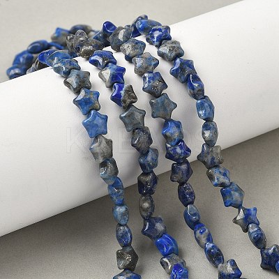Natural Lapis Lazuli Star Beads Strands G-Z080-A05-1