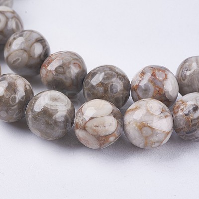 Natural Maifanite/Maifan Stone Beads Strands G-I187-10mm-01-1