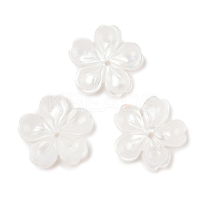 Natural White Shell Carved Beads SSHEL-I026-12D-05-1