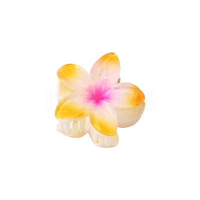 Plastic Claw Hair Clips PW-WG07B2B-10-1