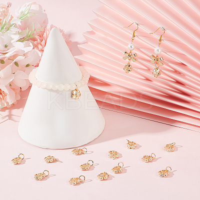 40Pcs Rack Plating Alloy Charms FIND-BBC0004-44-1