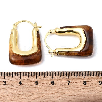 Brass Resin Hoop Earrings EJEW-P333-11B-G02-1