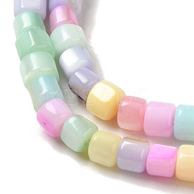 Rainbow Color Dyed Natural Freshwater Shell Beads Strands SHEL-G018-02D-1