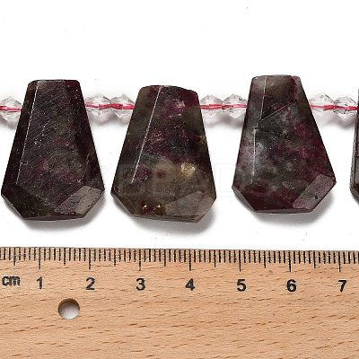 Natural Plum Blossom Tourmaline Beads Strands G-H078-A01-01-1