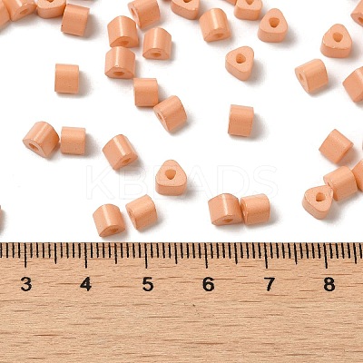 Baking Paint Glass Bead SEED-H002-K-D323-1