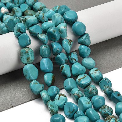 Natural Turquoise Beads Strands G-P497-01E-91-1