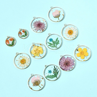 12Pcs 6 Styles Transparent Clear Epoxy Resin Pendants RESI-FS0001-88B-1
