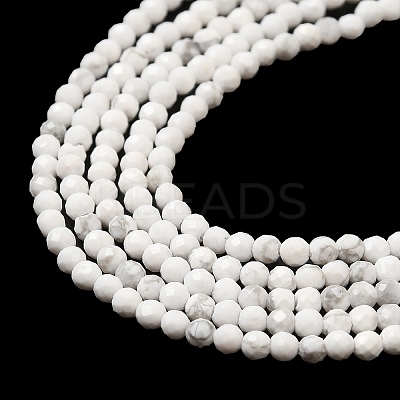 Natural Howlite Beads Strands G-E608-A01-A-1
