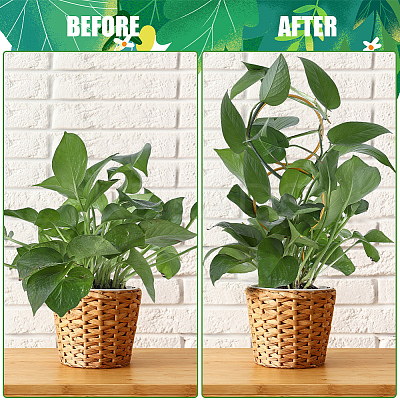 4Pcs 4 Styles Iron Flower Plant Supports FIND-CN0001-62B-1