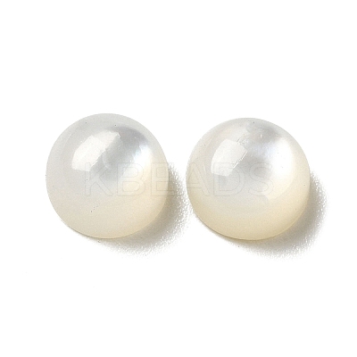 Natural White Shell Cabochons SSHEL-M022-01A-1