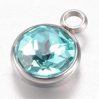 304 Stainless Steel Glass Rhinestone Charms STAS-G082-01-1