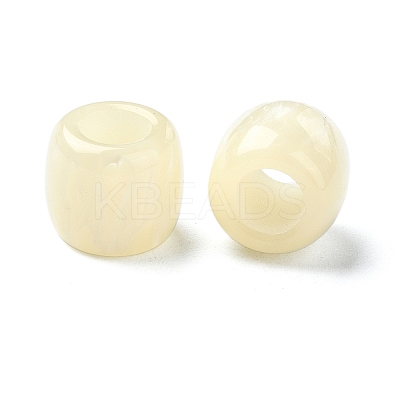 Resin European Beads RESI-U008-02G-1