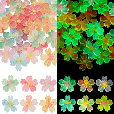 60Pcs 6 Colors Luminous Resin Cabochons RESI-GA0001-30-1-1