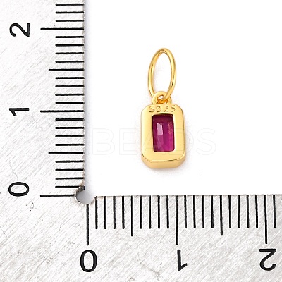 925 Sterling Silver Cubic Zirconia Charms STER-NH0014-01G-07-1