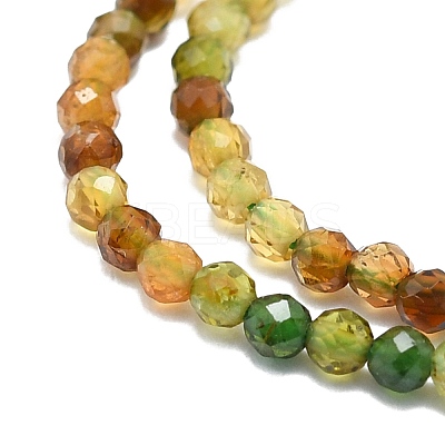 Natural Tourmaline Beads Strands G-P457-A01-14D-1