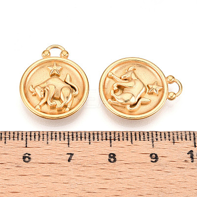 304 Stainless Steel Pendants STAS-N109-148G-02-1