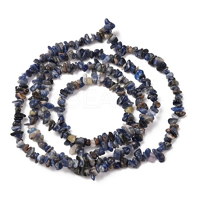 Natural Sodalite Chips Beads Strands LS-F024-1