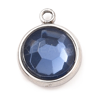 304 Stainless Steel Charms STAS-I165-04A-P-12-1