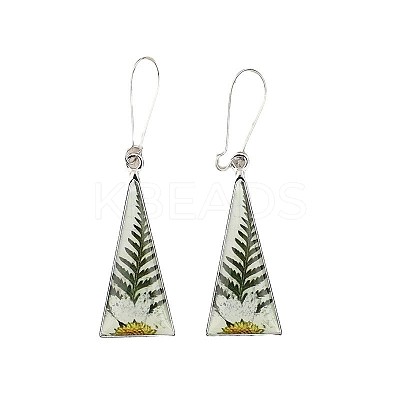 Print Alloy & Epoxy Leverback Earrings FS-WG26850-01-1