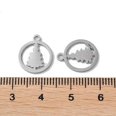 Non-Tarnish 304 Stainless Steel Charms STAS-F300-02P-1