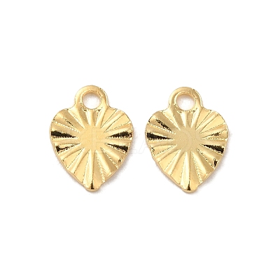 304 Stainless Steel Charms STAS-C080-03G-1