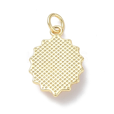 Eco-Friendly Rack Plating Brass Enamel Pendants KK-F845-32G-1