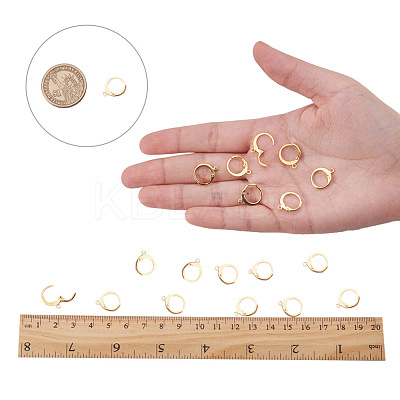 304 Stainless Steel Leverback Earring Findings A-STAS-G081-62G-1
