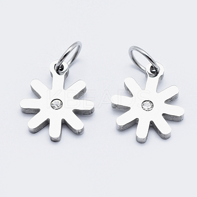 Eco-Friendly 316 Surgical Stainless Steel Micro Pave Cubic Zirconia Charms RB-I078-80P-NR-1