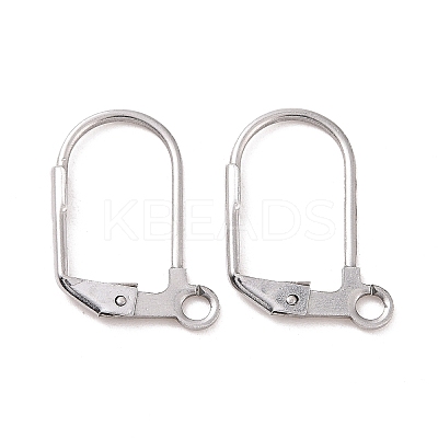 Tarnish Resistant 304 Stainless Steel Leverback Earring Findings STAS-E007-6-01-1