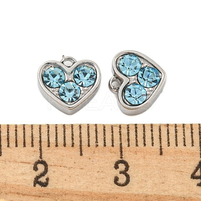 304 Stainless Steel Pendants STAS-L080-001P-02-1